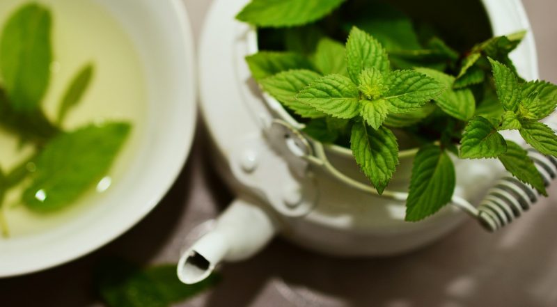 fogyókúrás tea menta levelekkel